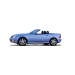 SLK (R171) (з 03.2004 до 12.2011)  
