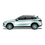 CAYENNE (92A) (с 06.2010 по до н.в.)  