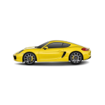 CAYMAN (981) (с 03.2013 по до н.в.)  