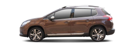PEUGEOT 2008 I (CU_)