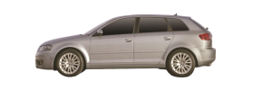 AUDI A3 Sportback (8PA)